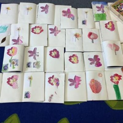 Amazing Art from Pear Class