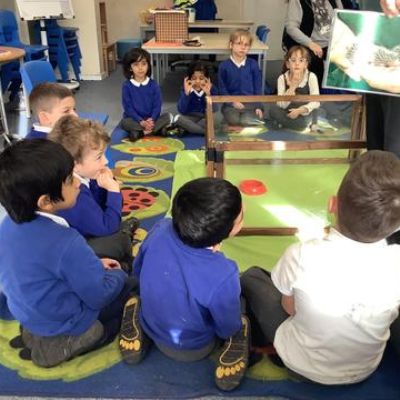 Y1 Hedgehog Visit