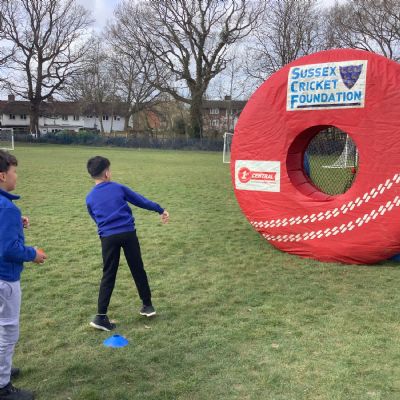 Y3 and Y4 Inflatable Cricket!
