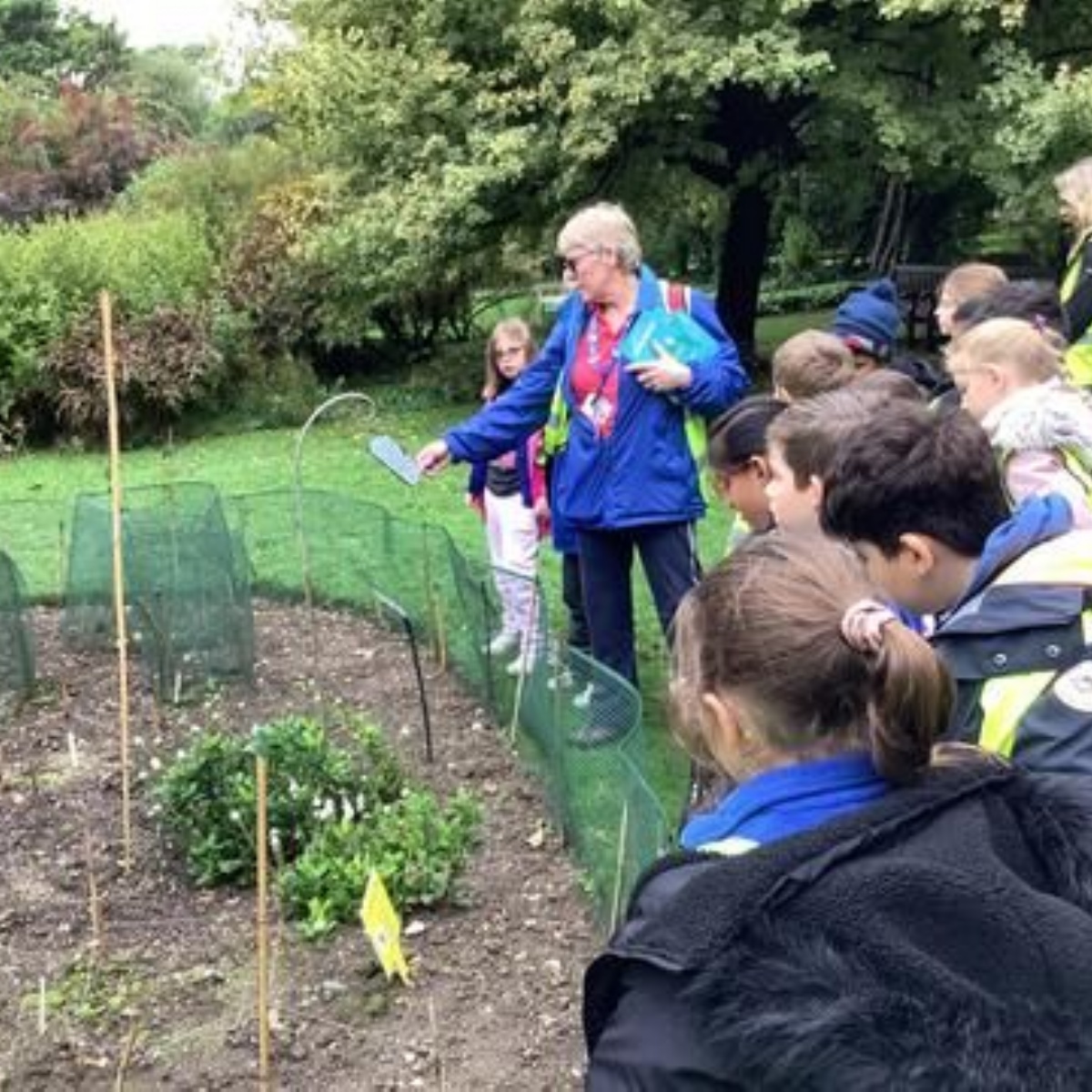 Highdown Primary Northgate Primary School - Y3 trip to Highdown Gardens